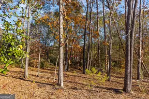 321 Quail Forest Circle, Toccoa, GA 30577 - Photo 63