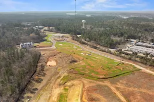 69 Vesper Grand Ave, Greensboro, GA 30642 - Photo 93