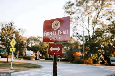 Tract 6 Lakeview Drive, Winterville, GA 30683 - Photo 7