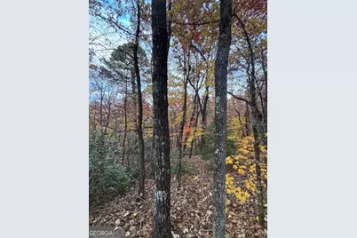 595 Whispering Dale Drive, Clarkesville, GA 30523 - Photo 1