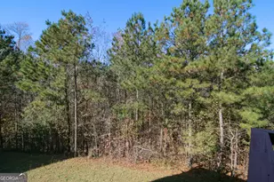 386 Springwater Wy, Bremen, GA 30110 - Photo 55