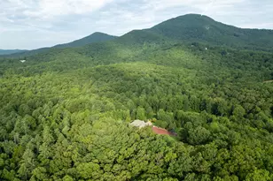 3464 Duncan Bridge Rd, Cleveland, GA 30528 - Photo 27