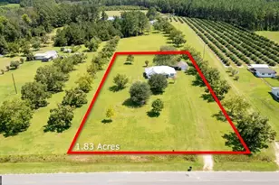 1351 Old Screven Rd, Jesup, GA 31545 - Photo 5