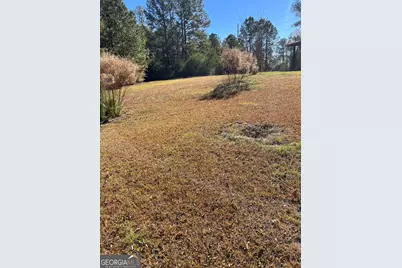 6326 Riggins Mill Road, Dry Branch, GA 31020 - Photo 21