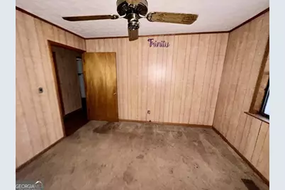 30 Mace Manor, Jackson, GA 30233 - Photo 9