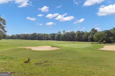 60 Audubon Place, Newnan, GA 30265 - Photo 37