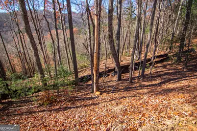 Lot 5 Clay's Way, Blue Ridge, GA 30513 - Photo 13