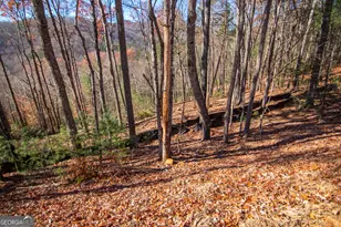 Lot 5 Clay's Way, Blue Ridge, GA 30513 - Photo 13