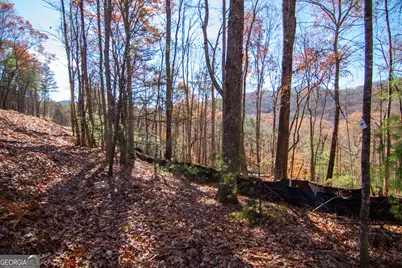 Lot 5 Clay's Way, Blue Ridge, GA 30513 - Photo 11