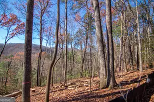 Lot 5 Clay's Way, Blue Ridge, GA 30513 - Photo 7