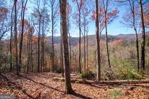 Lot 5 Clay's Way, Blue Ridge, GA 30513 - Photo 9