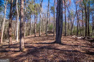 Lot 2A Clay's Way, Blue Ridge, GA 30513 - Photo 9