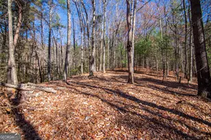 Lot 2A Clay's Way, Blue Ridge, GA 30513 - Photo 7