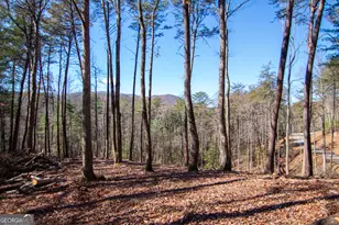Lot 2A Clay's Way, Blue Ridge, GA 30513 - Photo 11