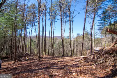 Lot 2A Clay's Way, Blue Ridge, GA 30513 - Photo 3