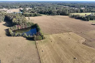 Lot 5 Mask Road - Hanner's Farm N, Brooks, GA 30205 - Photo 1