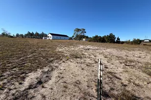 151 Lake Gloria Ln, Alma, GA 31510 - Photo 43