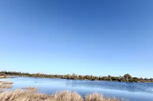 151 Lake Gloria Ln, Alma, GA 31510 - Photo 3