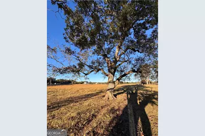 460 Mask Road, Brooks, GA 30205 - Photo 7