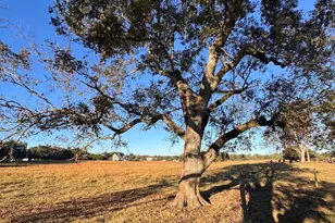 460 Mask Rd, Brooks, GA 30205 - Photo 7