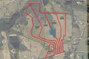 460 Mask Rd, Brooks, GA 30205 - Photo 3