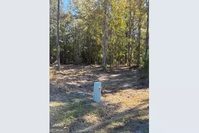 136 Herrin Road, Woodbine, GA 31569 - Photo 1