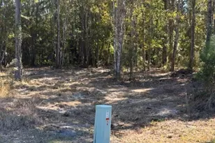 136 Herrin Rd, Woodbine, GA 31569 - Photo 1