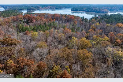 2.19 Acres Ridgeville Court, Tignall, GA 30668 - Photo 11