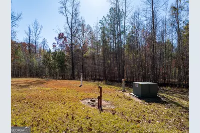 2.19 Acres Ridgeville Court, Tignall, GA 30668 - Photo 13
