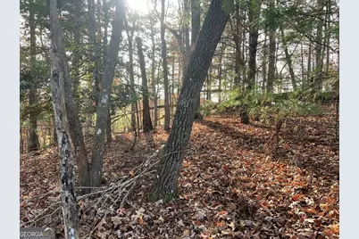 71 Dryad Court, Ellijay, GA 30540 - Photo 1