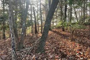 71 Dryad Ct, Ellijay, GA 30540 - Photo 1