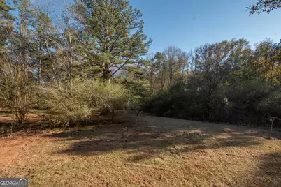 980 Grandma Branch Road, Grantville, GA 30220 - Photo 27