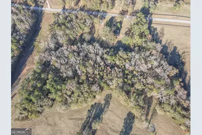 980 Grandma Branch Road, Grantville, GA 30220 - Photo 31