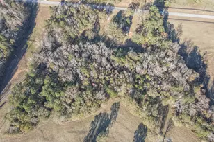 980 Grandma Branch Rd, Grantville, GA 30220 - Photo 31