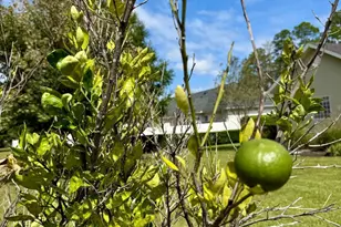 115 Spring Lake Cir, Brunswick, GA 31525 - Photo 31