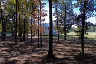 161 Archer Grove Rd, Athens, GA 30607 - Photo 47