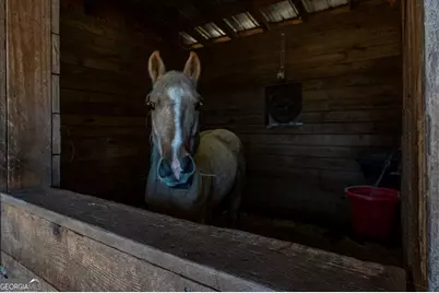 161 Archer Grove Road, Athens, GA 30607 - Photo 35