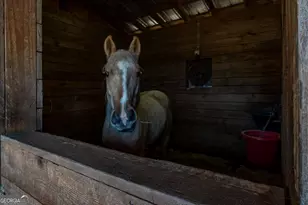 161 Archer Grove Rd, Athens, GA 30607 - Photo 35