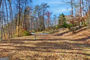 110 Covered Bridge Rd, Sautee Nacoochee, GA 30571 - Photo 41