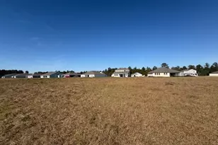 229 Park View Ln, Kingsland, GA 31548 - Photo 47