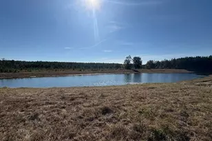 229 Park View Ln, Kingsland, GA 31548 - Photo 49