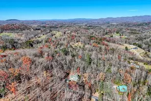 194 Forest Hill Dr, Blairsville, GA 30512 - Photo 57