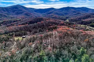 194 Forest Hill Dr, Blairsville, GA 30512 - Photo 55