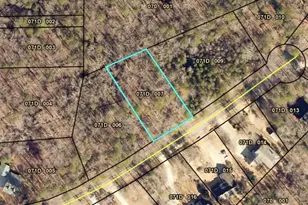 113 Peninsula Point, Martin, GA 30557 - Photo 1