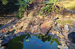 364 Centralhatchee Pkwy, Franklin, GA 30217 - Photo 39