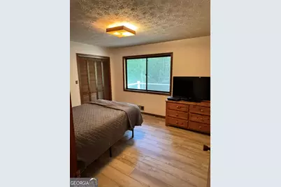 364 Centralhatchee Parkway, Franklin, GA 30217 - Photo 17