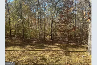 10291 White House Parkway, Woodbury, GA 30293 - Photo 15