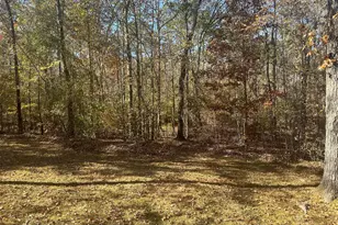 10291 Whitehouse Pkwy, Woodbury, GA 30293 - Photo 15