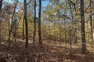 10291 Whitehouse Pkwy, Woodbury, GA 30293 - Photo 5