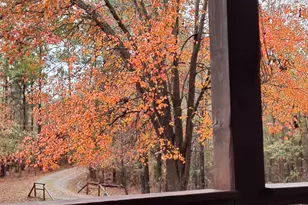 10291 Whitehouse Pkwy, Woodbury, GA 30293 - Photo 33